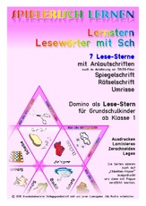 Lese-Stern Lesewoerter Sch.pdf